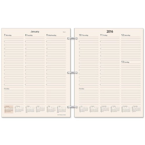 Small Functional Daily Agenda Refill SANS LIGNE ESTHETIQUE - Books and  Stationery